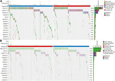 Identification of UCP1 and UCP2 as Potential Prognostic Markers in Breast Cancer: A Study Based on Immunohistochemical Analysis and Bioinformatics